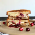cranberry turkey grilled cheese